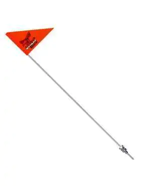 Access SECURITY FLAG SET (DRR)