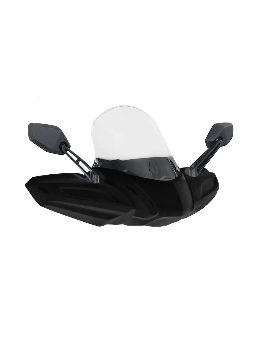 Access Windshield, black