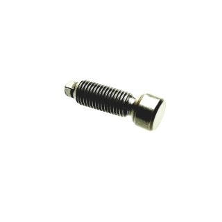 ADJUST SCREW, VALVE