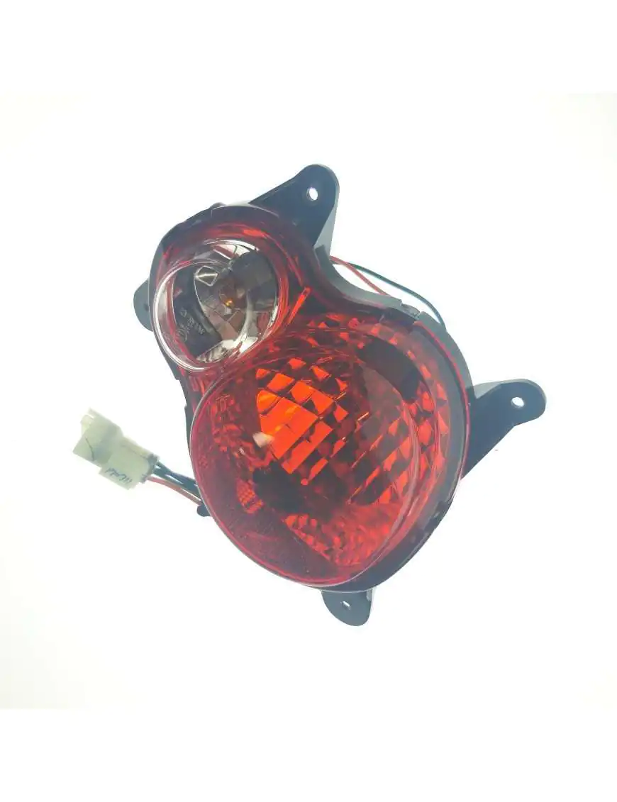 ASSY, TAILLIGHT-LH (ECE)