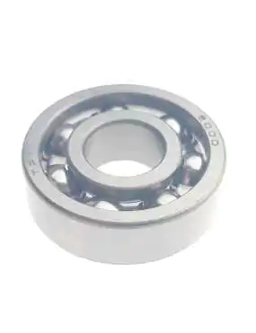 BEARING 6000