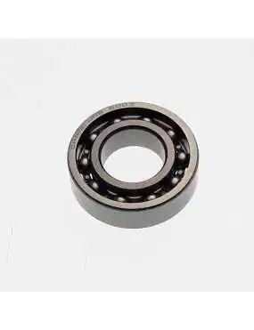 BEARING 6003/P6