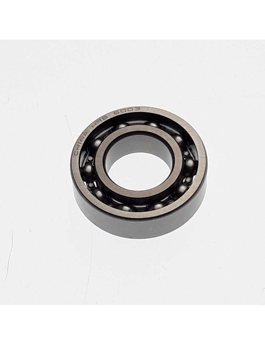 BEARING 6003/P6