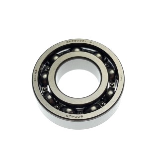BEARING 6004