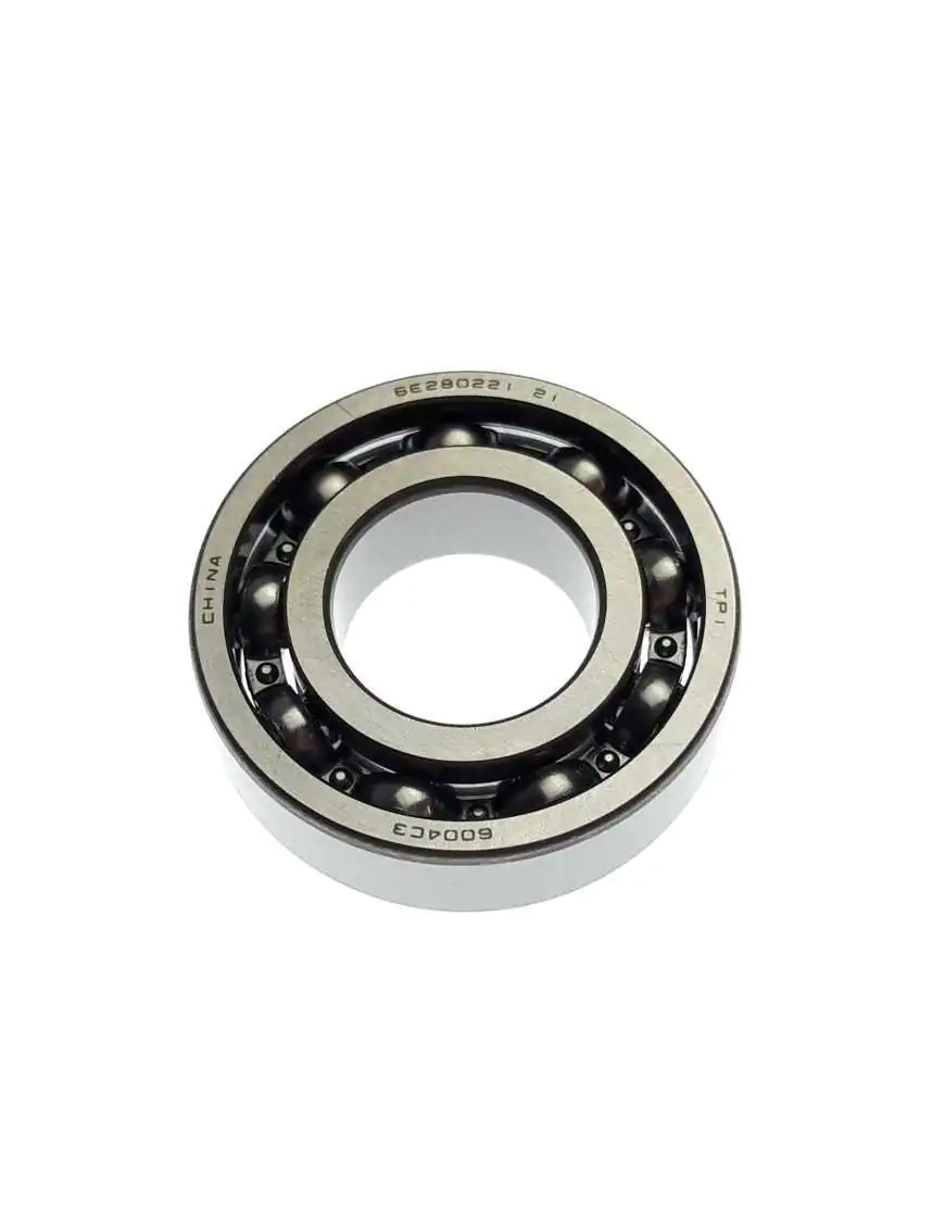 BEARING 6004