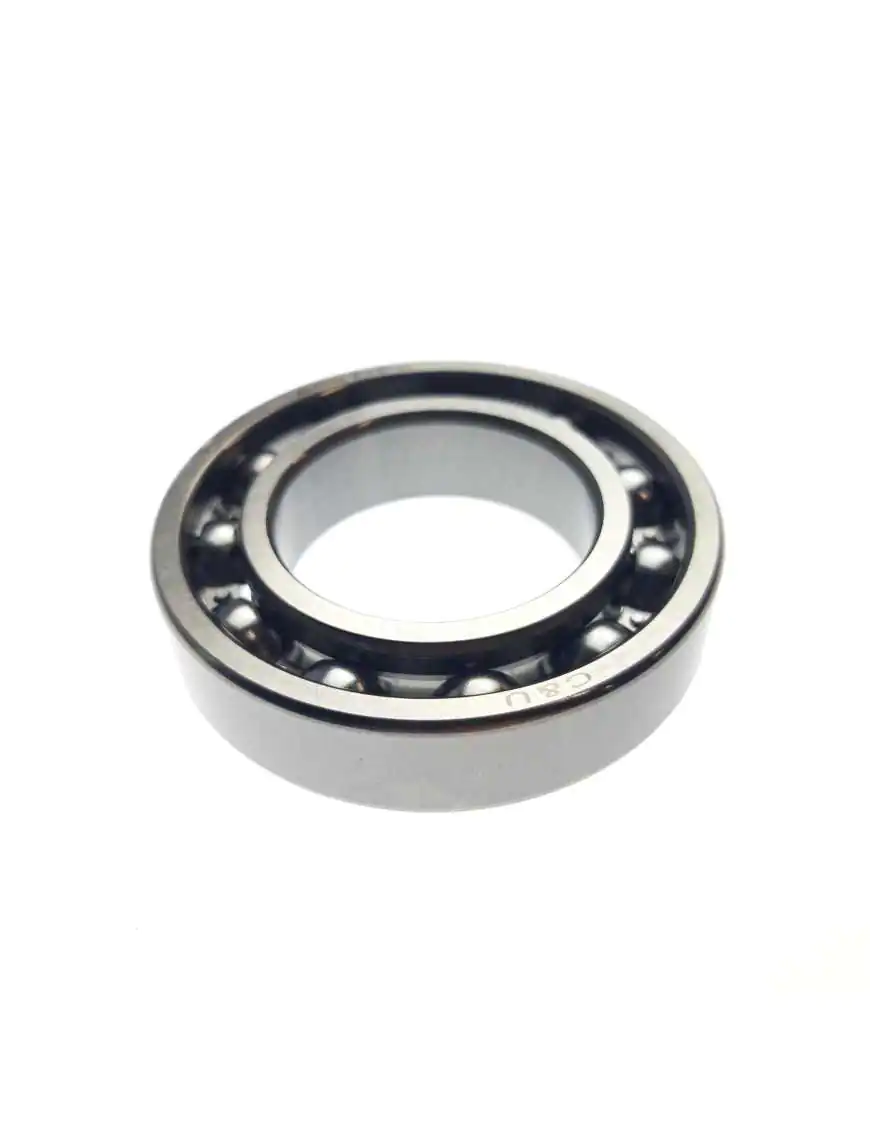 BEARING 6007