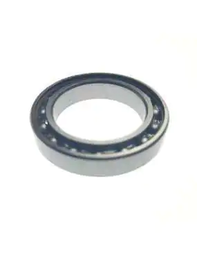 BEARING 61805