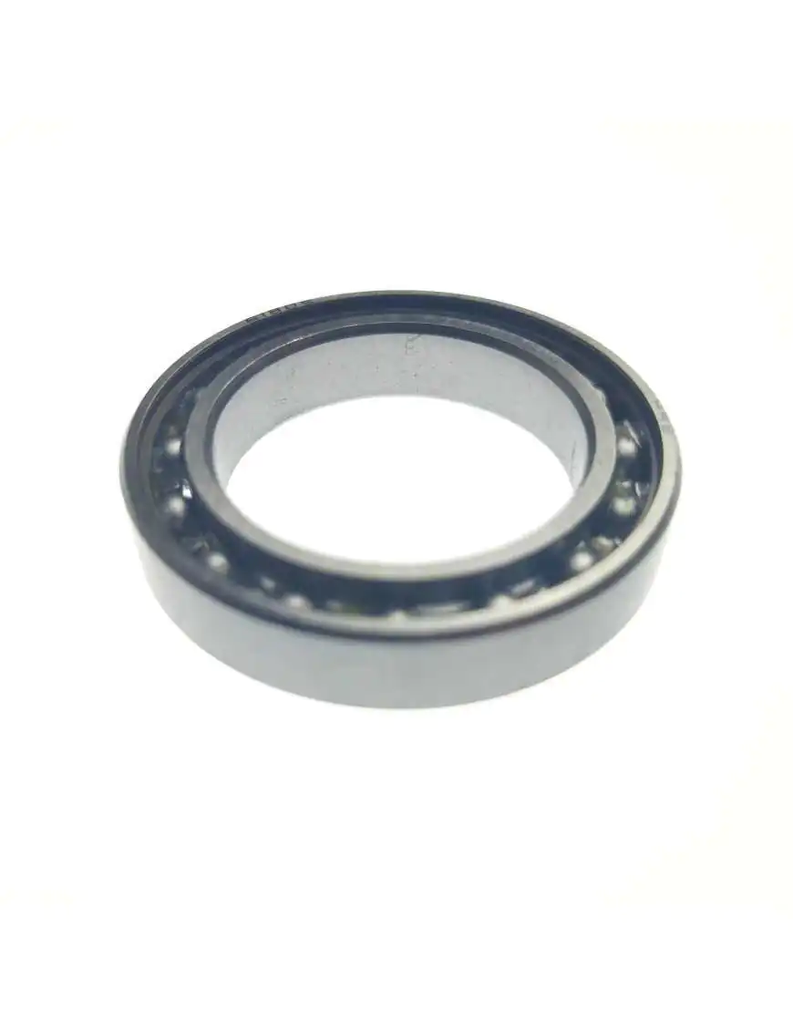 BEARING 61805