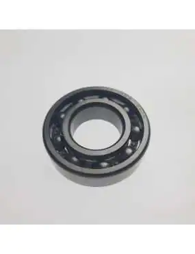 BEARING 6205