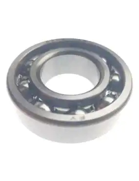 Bearing 6205C3