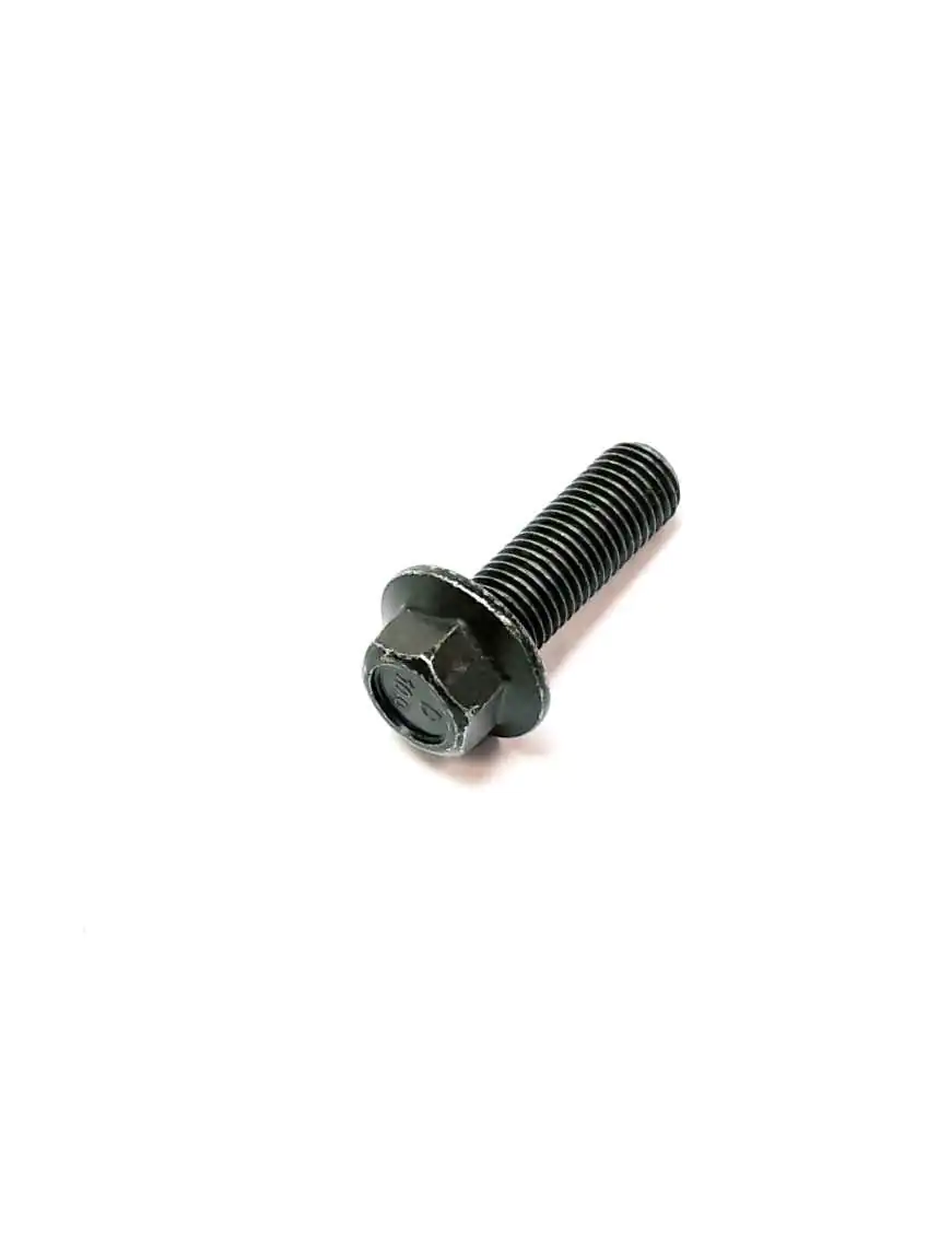 Bolt M10×1.25×30