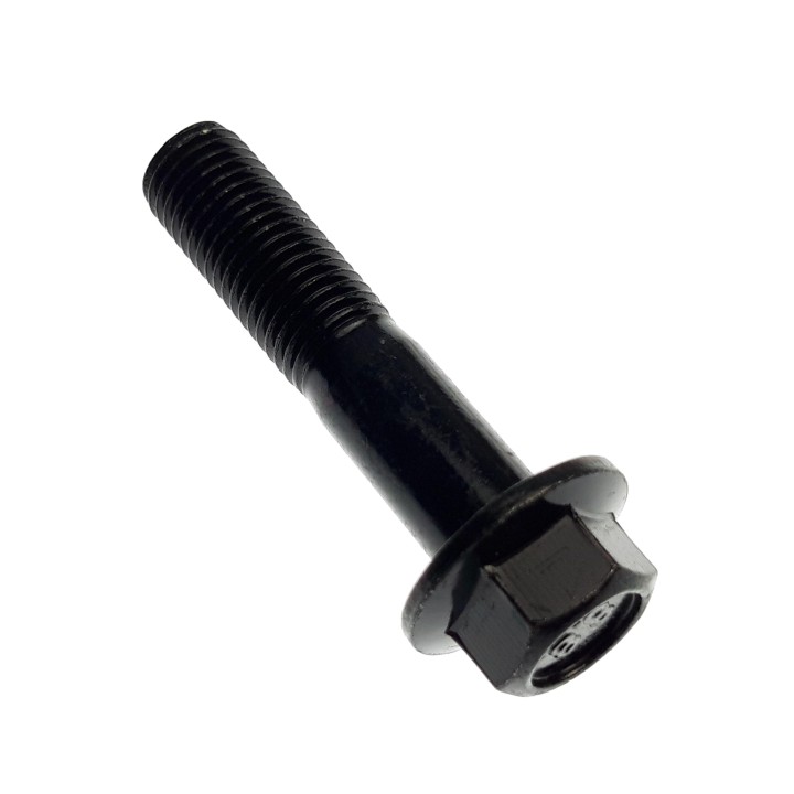 Bolt M10×45