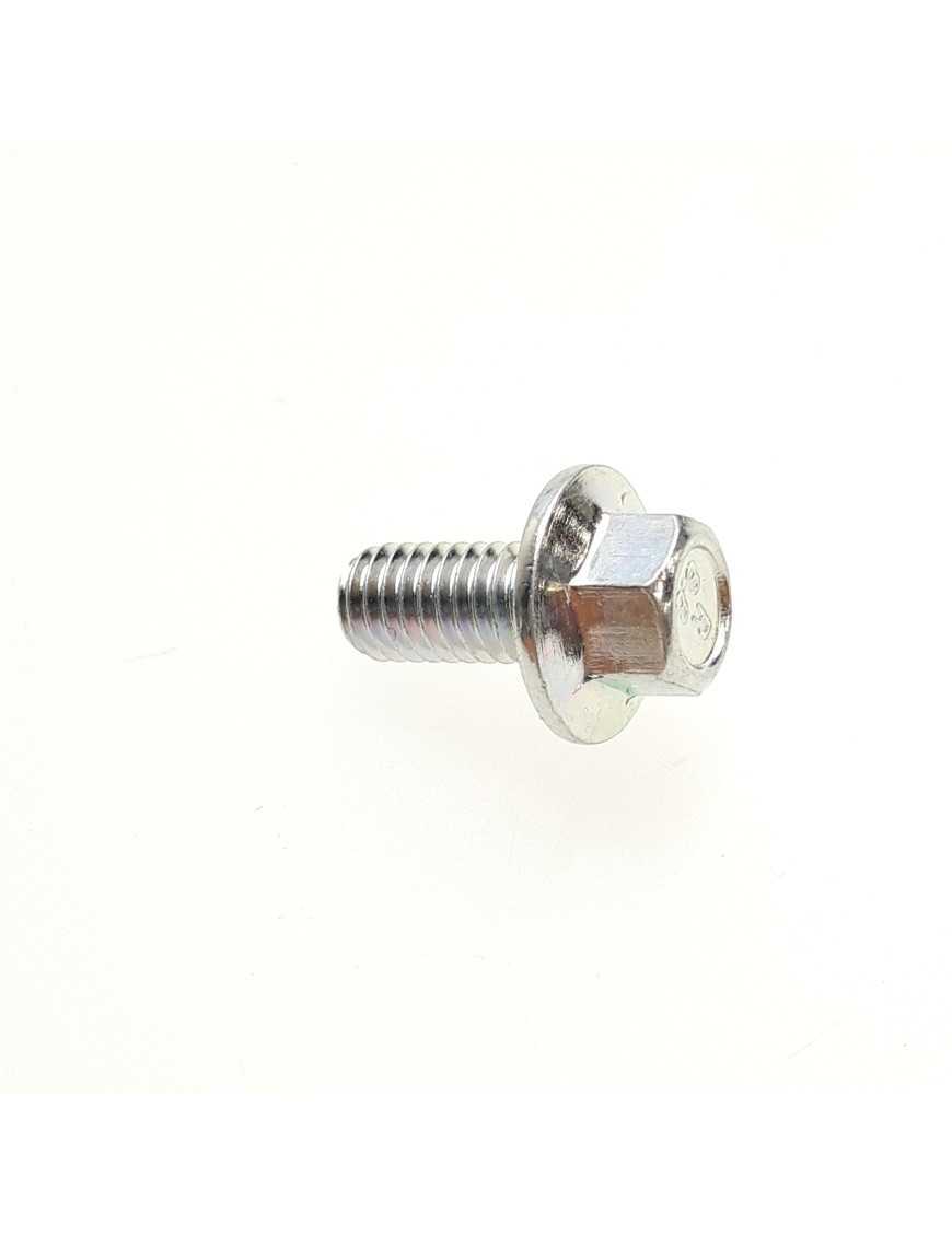 Bolt M6×12