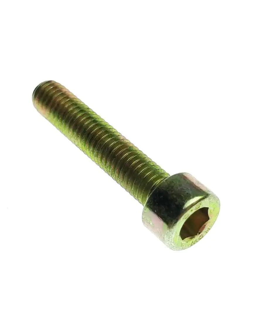 BOLT SOCKET HEAD M6X30