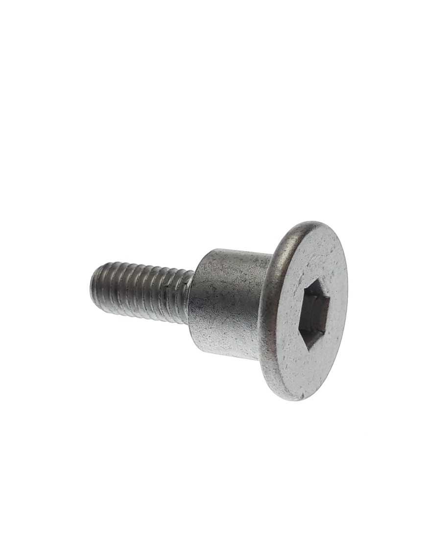 BOLT, camchain tensioner