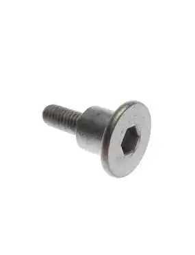 BOLT, camchain tensioner