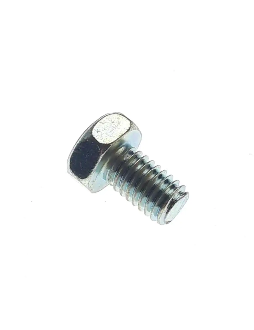 BOLT, HEX HEAD M6X10 ( FOR C.D.I.)