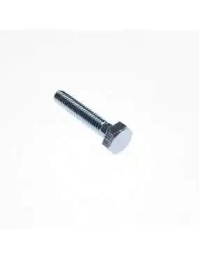 BOLT, HEX HEAD M6X33