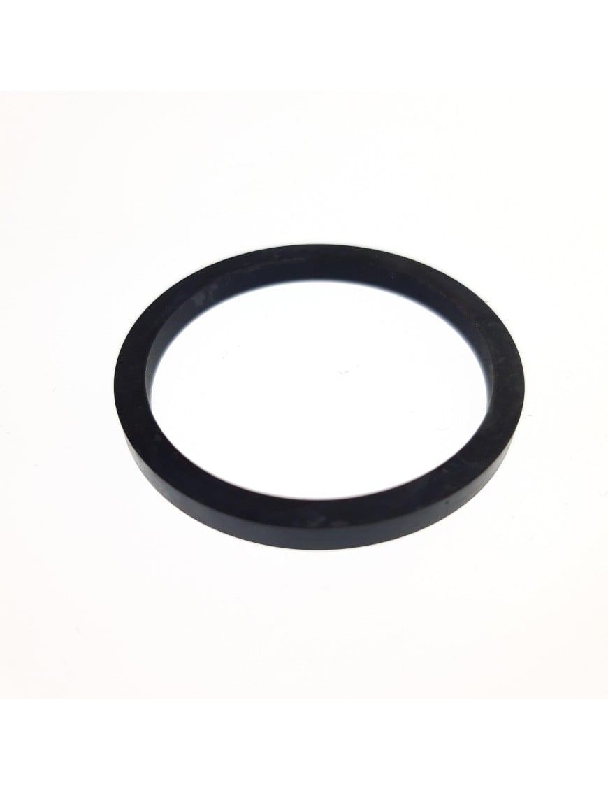 CALIPER SEAL