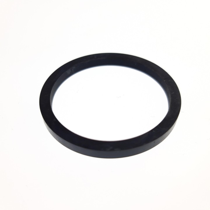 CALIPER SEAL