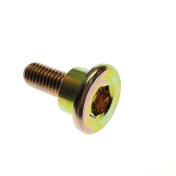 Cam Chan Tensioner Pivot