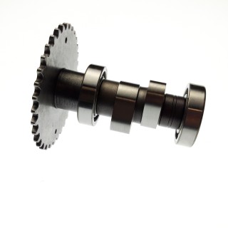 CAM SHAFT ASSY