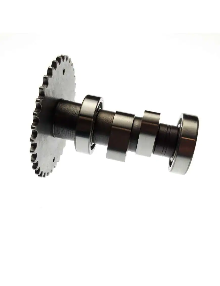 CAM SHAFT ASSY