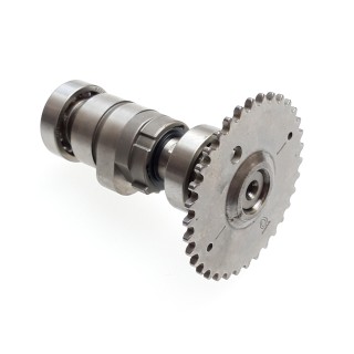 Cam shaft comp