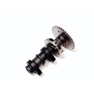 Camshaft Ass'y, Exhaust