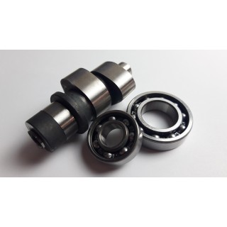 CAMSHAFT ASSY1
