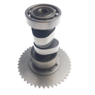 camshaft group