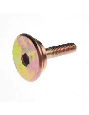 CHAIN TENSIONER PIVOT BOLT