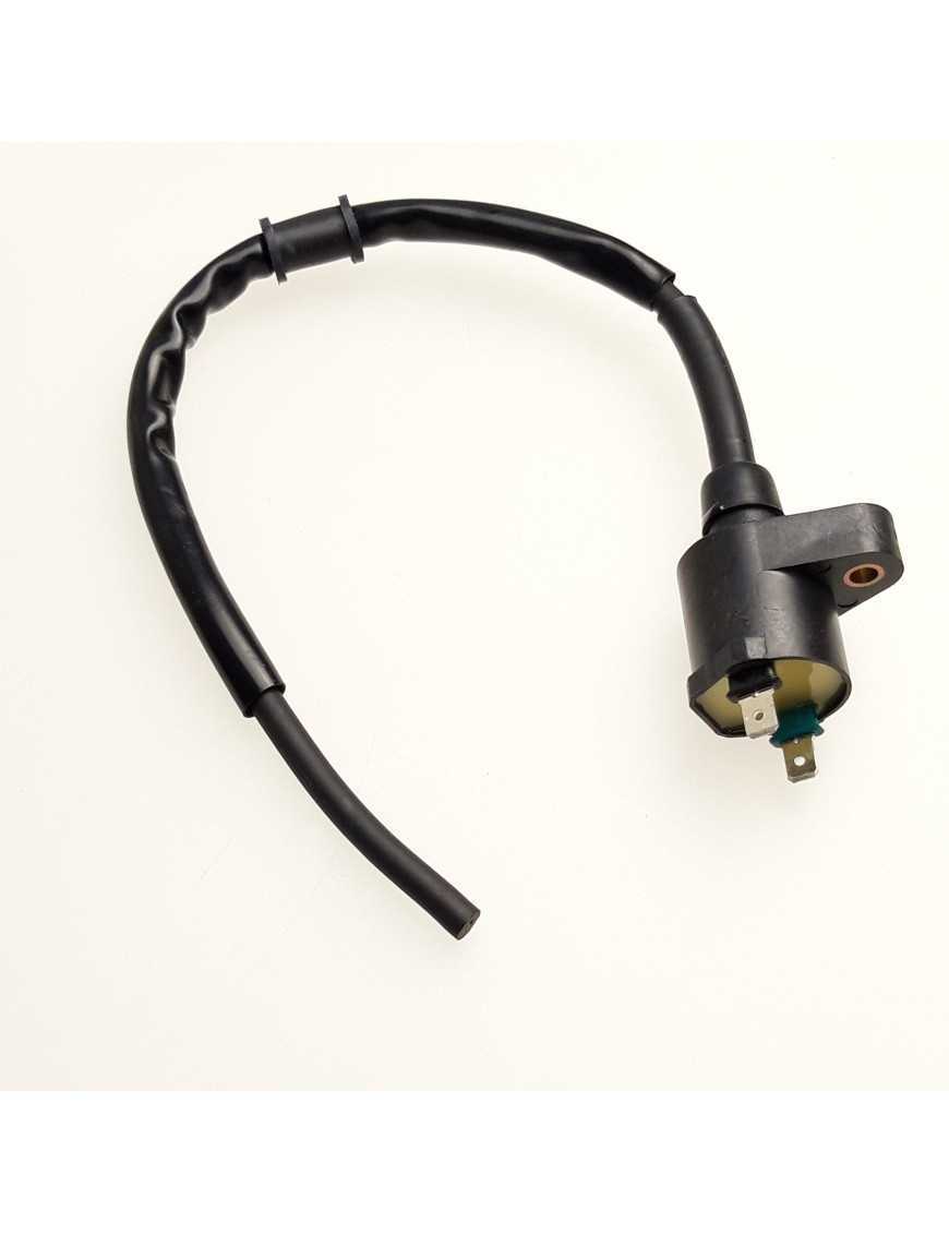 COIL SET, IGNITION