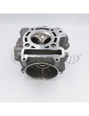CYLINDER HEAD ASSY (FOR ATV300)