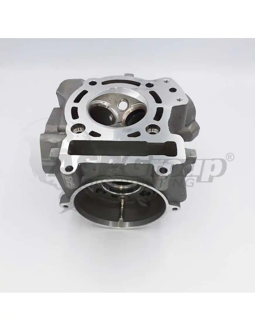 CYLINDER HEAD ASSY (FOR ATV300)