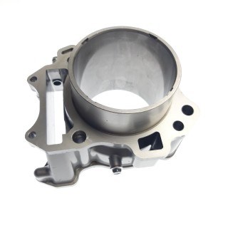 Cylinder (race)