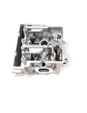 CYLINDER HEAD - CAMSHAFT CARRIER COMBINATION