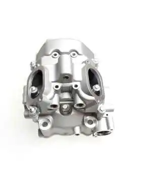 CYLINDER HEAD AND CYLINDER HEAD COVER ASSEMBLY