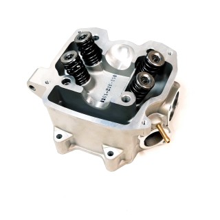 Cylinder Head Ass'y