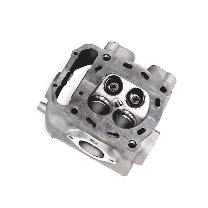 CYLINDER HEAD ASSY