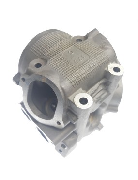 CYLINDER HEAD ASSY (FOR 260cc)