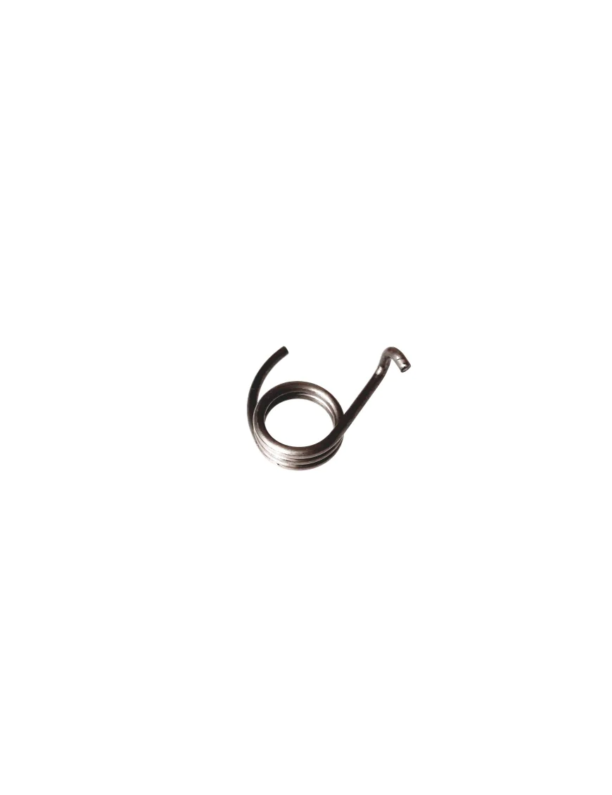 DETENT PAWL TORSION SPRING