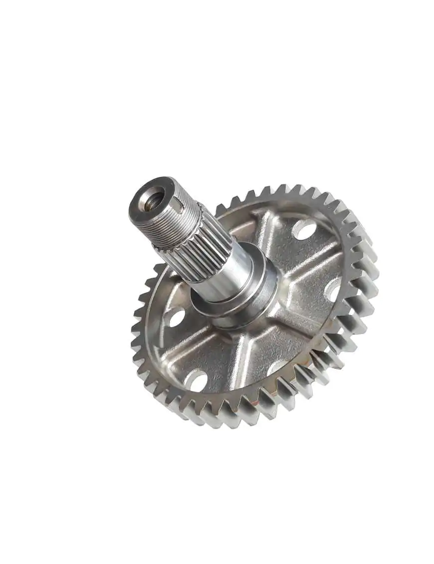 DRIVE PINION ASSY