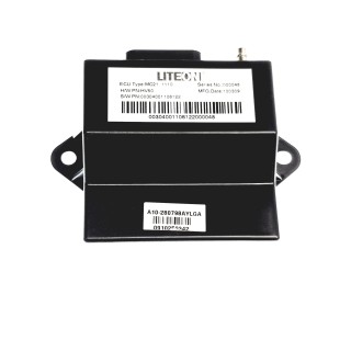 Engine Control Unit (ECU)