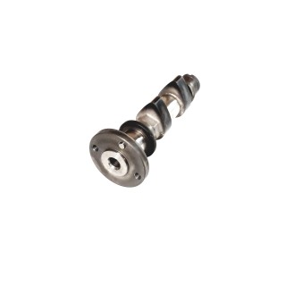 EXHAUST CAMSHAFT ASSEMBLY