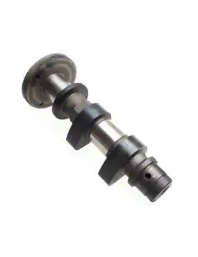 EXHAUST CAMSHAFT ASSY