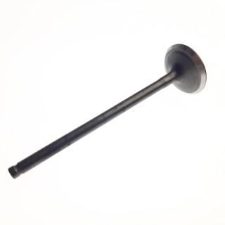 EXHAUST VALVE