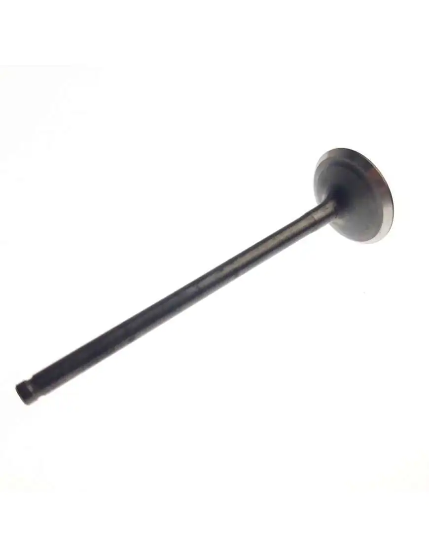 EXHAUST VALVE