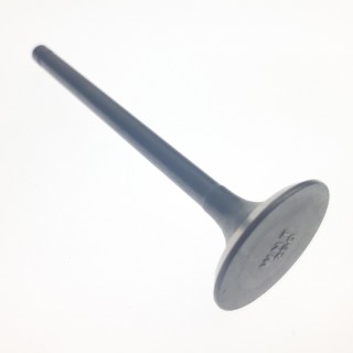EXHAUST VALVE
