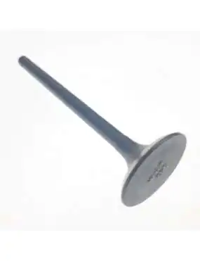 EXHAUST VALVE